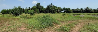 2,800 sqm of land for house builders in Ban Kram, Rayong - Land - Ban Kram - Ban Kram, Kram, Rayong