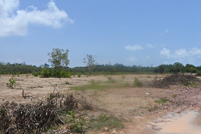 26.5 Rai prepared land in central Mae Phim, Rayong - Land - Mae Phim - Mae Phim, Kram, Rayong