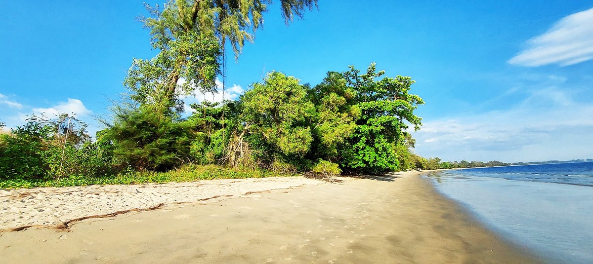 Beach land for sale at Sai Kaew Beach near Mae Phim, Rayong - Land - Mae Phim - Sai Kaew Beach