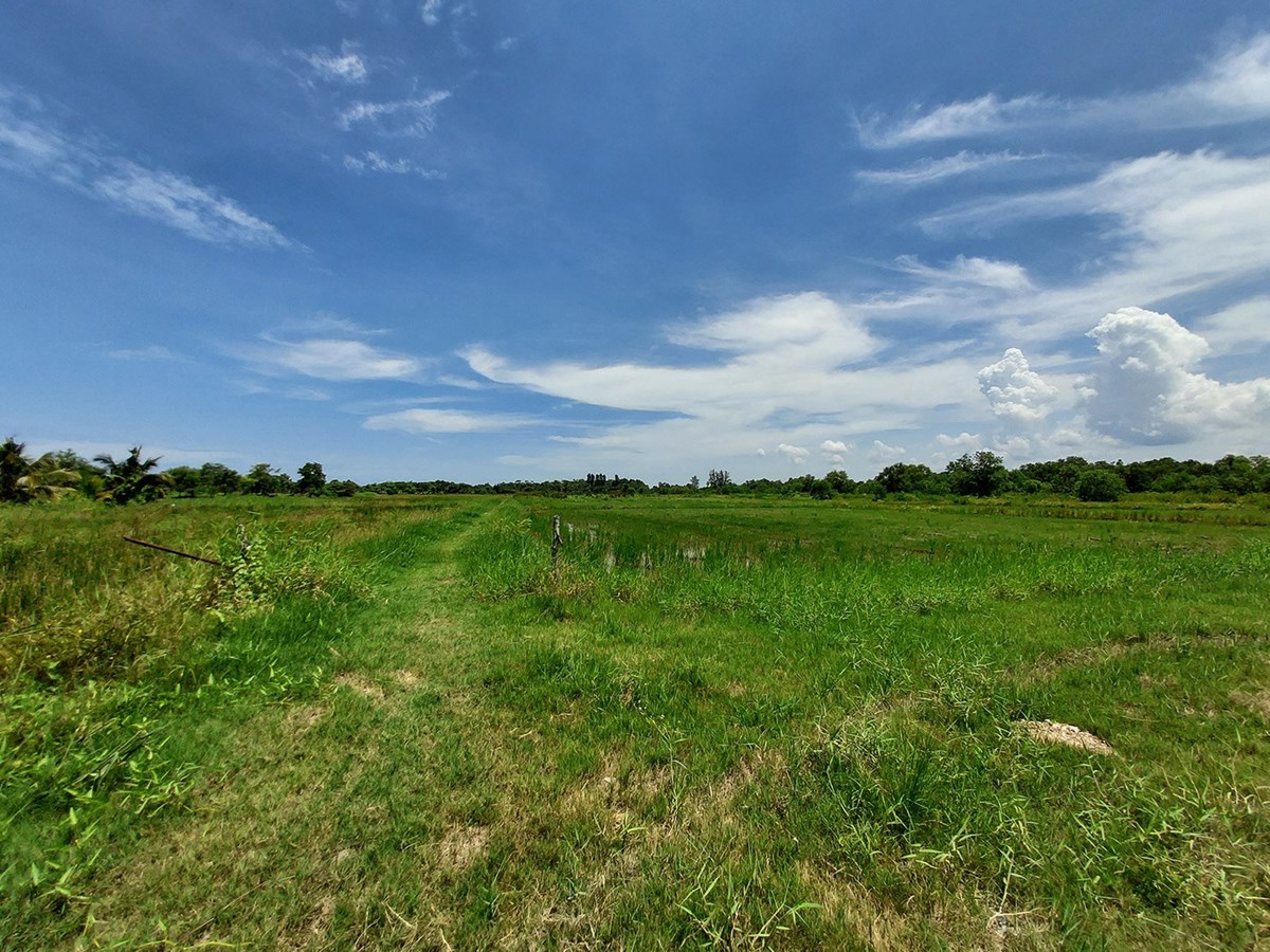 Land for residential area or resort in Klaeng, Rayong - Land -  - 