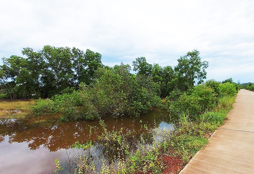 1.75 Rai land by road near buildings in Mae Phim - Land - Mae Phim - Mae Phim, Kram, Rayong