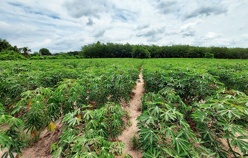 32 Rai land area near the expansive Wangchan Valley Project - Land - Wang Chan - Wang Chan