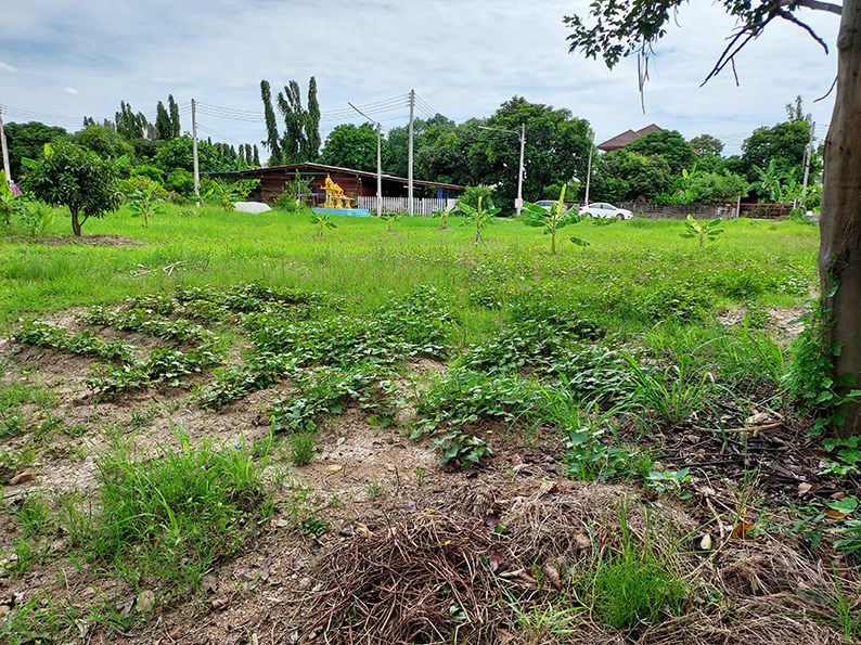 Land area of 2 Rai in the heart of Chon Buri. - Land - Chonburi - Chon Buri