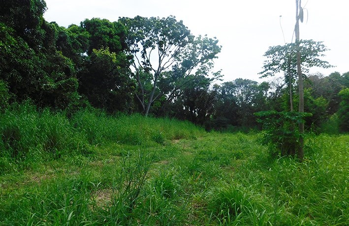 Cheap land in Ban Chang near U Tapao Airport and Phala Beach - Land - Baan Chang - Ban Chang