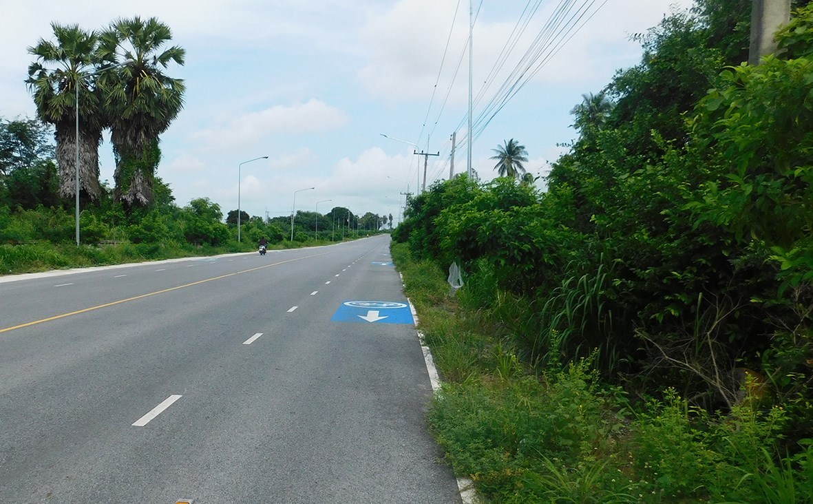 Cheap land in Ban Chang near U Tapao Airport and Phala Beach - Land - Baan Chang - Ban Chang
