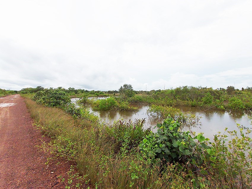 6 Rai land which can easily be extended to 23 Rai or 36 Rai, in Mae Phim - Land - Mae Phim - Mae Phim, Kram, Rayong