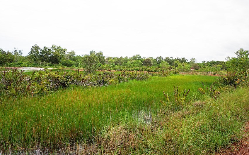 4.7 Rai land behind the existing buildings in central Mae Phim - Land - Mae Phim - Mae Phim, Kram, Rayong