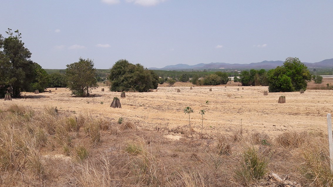 Excellent location between roads 7 and 331 north of U Tapao Airport - Land - Baan Chang - Ban Chang