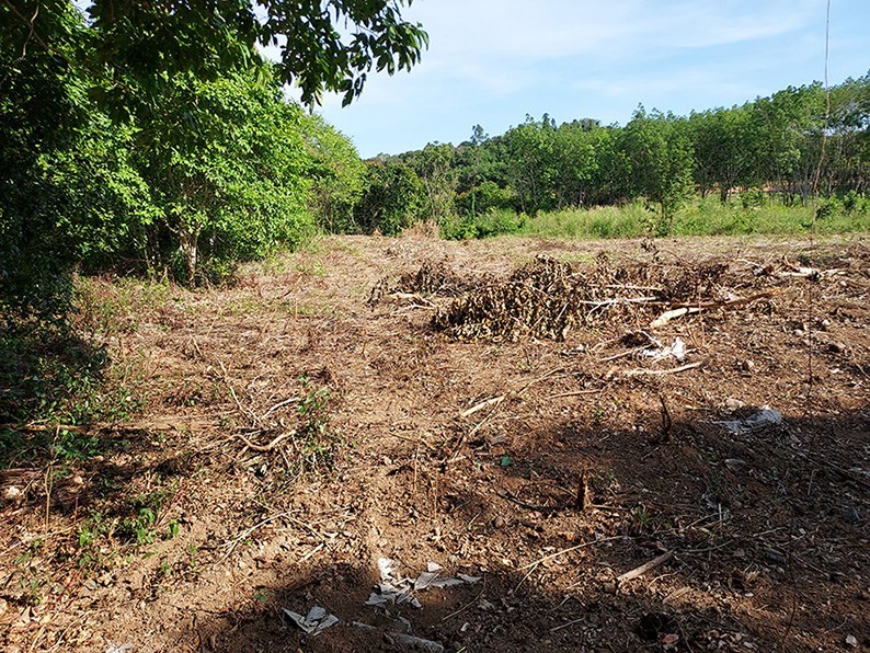 1 Rai land in Klong Ta Kwa. - Land -  - 