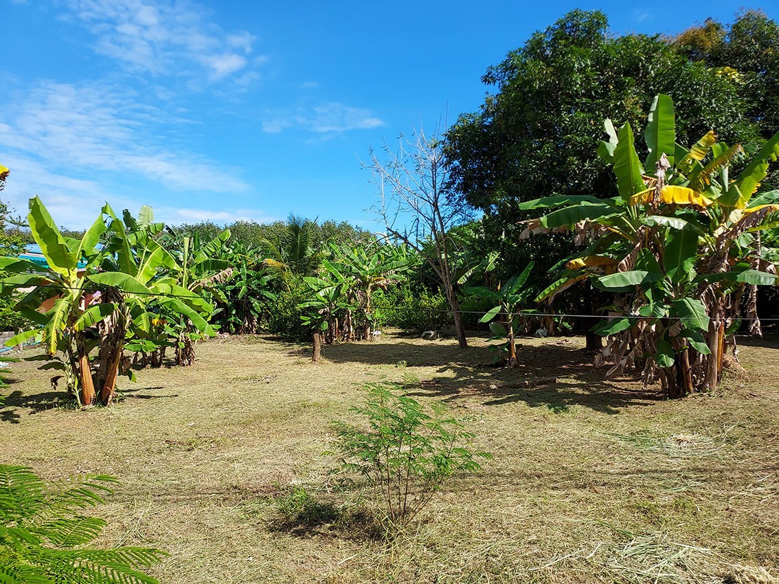 Attractive land of 1.66 Rai near Suan Son Beach - Land - Suan Son - Suan Son