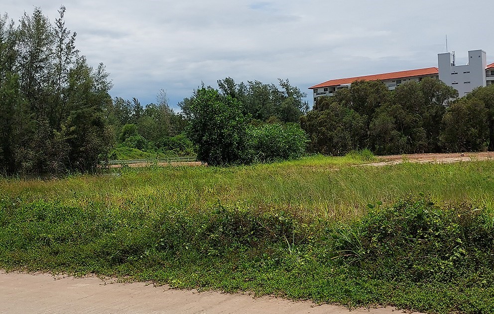 Attractive land by side road to road 3145 in Mae Phim, Rayong. - Land - Mae Phim - Mae Phim