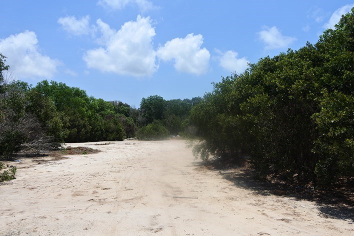 27,5 Rai mark in central Mae Phim, Rayong - Land - Mae Phim - Mae Phim, Kram, Rayong